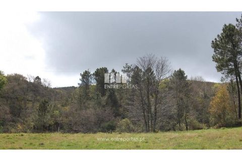 Helårsgrund i Amarante, Porto, Amarante - € 13.500 | Ref: MC04482 - foto 8