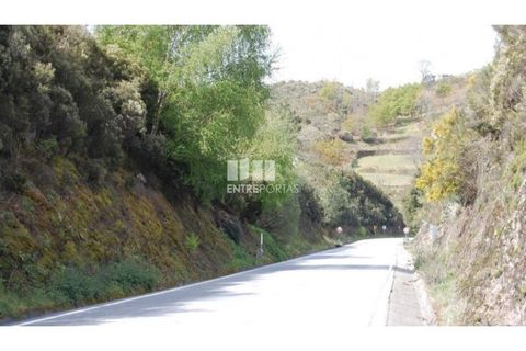 Helårsgrund i Amarante, Porto, Amarante - € 13.500 | Ref: MC04482 - foto 9