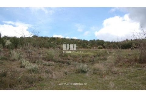 Helårsgrund i Amarante, Porto, Amarante - € 39.000 | Ref: MC04480 - foto 2