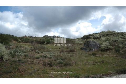 Helårsgrund i Amarante, Porto, Amarante - € 39.000 | Ref: MC04480 - foto 5