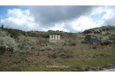 Helårsgrund i Amarante, Porto, Amarante - € 39.000 | Ref: MC04480 - foto 6