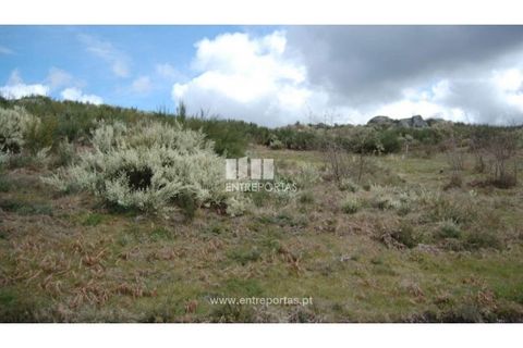 Helårsgrund i Amarante, Porto, Amarante - € 39.000 | Ref: MC04480 - foto 7