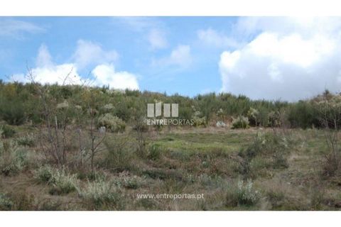 Helårsgrund i Amarante, Porto, Amarante - € 39.000 | Ref: MC04480 - foto 8