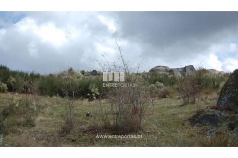 Helårsgrund i Amarante, Porto, Amarante - € 39.000 | Ref: MC04480 - foto 9