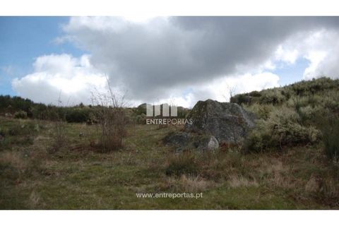Helårsgrund i Amarante, Porto, Amarante - € 39.000 | Ref: MC04480 - foto 10