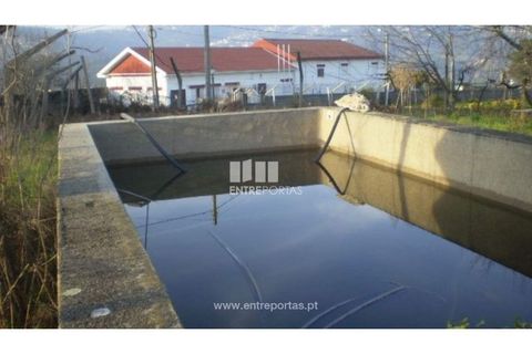 Terra a Resende, Viseu, Resende - € 37.500 | Ref: MC04474 - foto 3