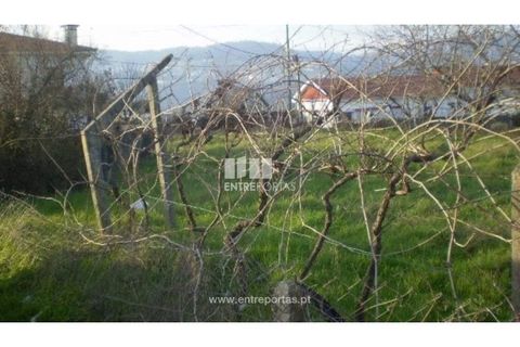 Terra a Resende, Viseu, Resende - € 37.500 | Ref: MC04474 - foto 4