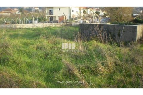 Terra a Resende, Viseu, Resende - € 37.500 | Ref: MC04474 - foto 5