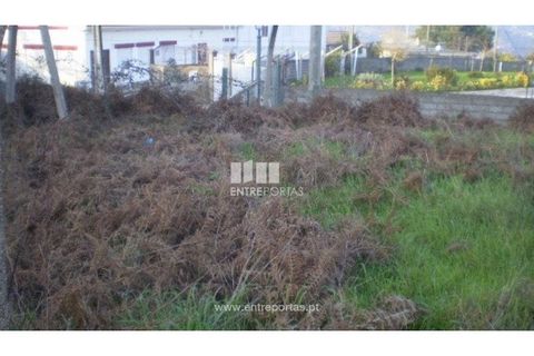 Terra a Resende, Viseu, Resende - € 37.500 | Ref: MC04474 - foto 6