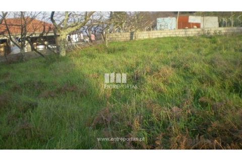Terra a Resende, Viseu, Resende - € 37.500 | Ref: MC04474 - foto 7