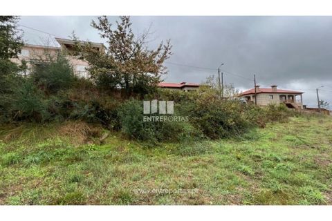 Helårsgrund i Ancede e Ribadouro, Porto, Ancede e Ribadouro - € 25.000 | Ref: MC04523 - foto 3