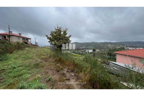 Helårsgrund i Ancede e Ribadouro, Porto, Ancede e Ribadouro - € 25.000 | Ref: MC04523 - foto 6