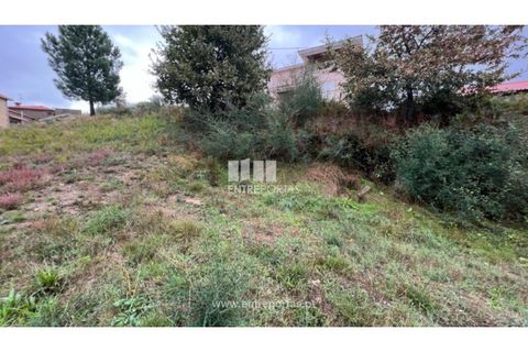Helårsgrund i Ancede e Ribadouro, Porto, Ancede e Ribadouro - € 25.000 | Ref: MC04523 - foto 12