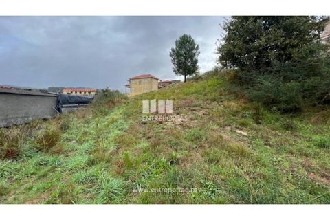 Helårsgrund i Ancede e Ribadouro, Porto, Ancede e Ribadouro - € 25.000 | Ref: MC04523 - foto 14