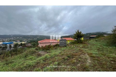 Helårsgrund i Ancede e Ribadouro, Porto, Ancede e Ribadouro - € 25.000 | Ref: MC04523 - foto 16