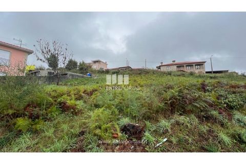 Tomt i Ancede e Ribadouro, Porto, Ancede e Ribadouro - € 25 000 | Ref: MC04524 - foto 4