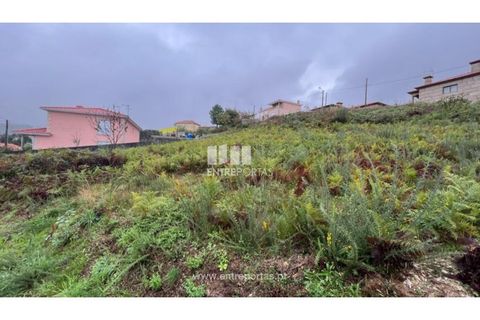 Tomt i Ancede e Ribadouro, Porto, Ancede e Ribadouro - € 25 000 | Ref: MC04524 - foto 6
