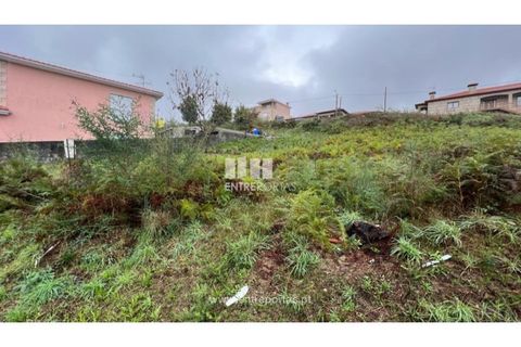 Tomt i Ancede e Ribadouro, Porto, Ancede e Ribadouro - € 25 000 | Ref: MC04524 - foto 8