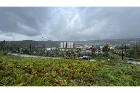 Tomt i Ancede e Ribadouro, Porto, Ancede e Ribadouro - € 25 000 | Ref: MC04524 - foto 10