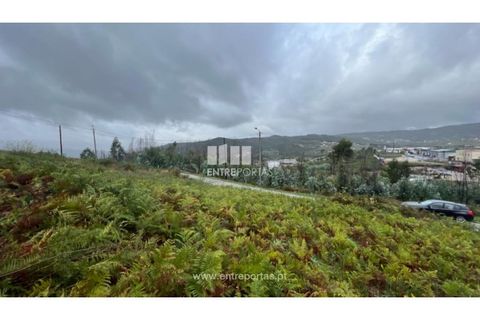 Tomt i Ancede e Ribadouro, Porto, Ancede e Ribadouro - € 25 000 | Ref: MC04524 - foto 12