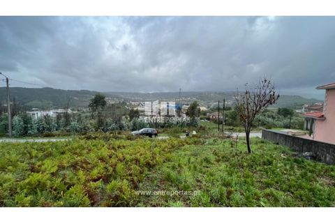 Tomt i Ancede e Ribadouro, Porto, Ancede e Ribadouro - € 25 000 | Ref: MC04524 - foto 18