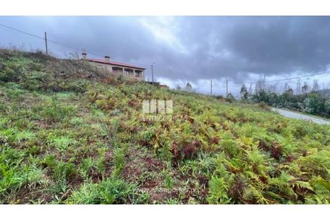 Tomt i Ancede e Ribadouro, Porto, Ancede e Ribadouro - € 25 000 | Ref: MC04524 - foto 20