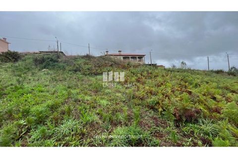 Tomt i Ancede e Ribadouro, Porto, Ancede e Ribadouro - € 25 000 | Ref: MC04524 - foto 22