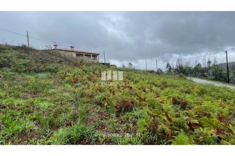 Tomt i Ancede e Ribadouro, Porto, Ancede e Ribadouro - € 25 000 | Ref: MC04524 - foto 23