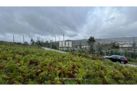 Tomt i Ancede e Ribadouro, Porto, Ancede e Ribadouro - € 25 000 | Ref: MC04524 - foto 25