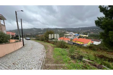 Terra a Ancede e Ribadouro, Porto, Ancede e Ribadouro - € 25.000 | Ref: MC04518 - foto 2