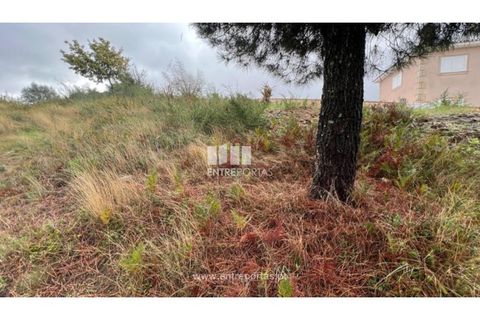 Terra a Ancede e Ribadouro, Porto, Ancede e Ribadouro - € 25.000 | Ref: MC04518 - foto 3