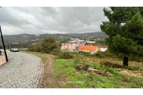 Terra a Ancede e Ribadouro, Porto, Ancede e Ribadouro - € 25.000 | Ref: MC04518 - foto 4