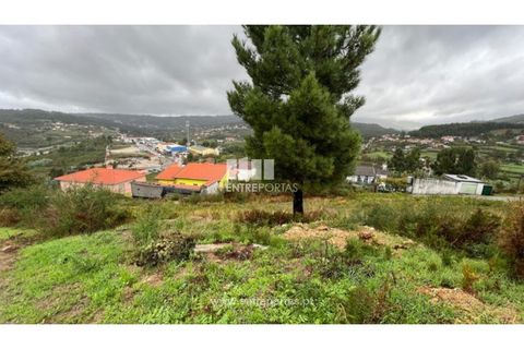 Terra a Ancede e Ribadouro, Porto, Ancede e Ribadouro - € 25.000 | Ref: MC04518 - foto 5