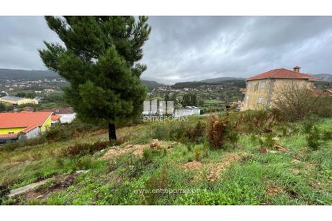 Terra a Ancede e Ribadouro, Porto, Ancede e Ribadouro - € 25.000 | Ref: MC04518 - foto 6