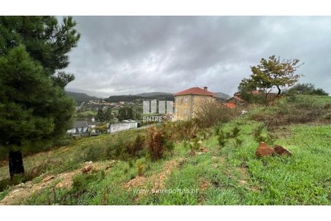 Terra a Ancede e Ribadouro, Porto, Ancede e Ribadouro - € 25.000 | Ref: MC04518 - foto 7