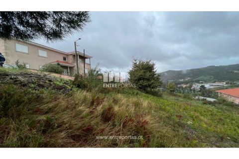 Terra a Ancede e Ribadouro, Porto, Ancede e Ribadouro - € 25.000 | Ref: MC04518 - foto 8