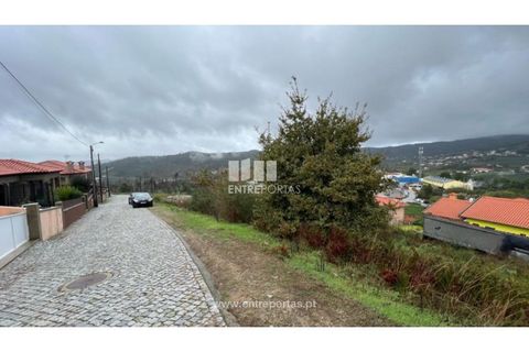Terra a Ancede e Ribadouro, Porto, Ancede e Ribadouro - € 25.000 | Ref: MC04518 - foto 9