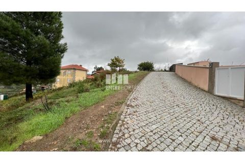 Terra a Ancede e Ribadouro, Porto, Ancede e Ribadouro - € 25.000 | Ref: MC04518 - foto 10