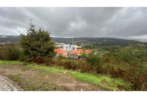 Terra a Ancede e Ribadouro, Porto, Ancede e Ribadouro - € 25.000 | Ref: MC04518 - foto 11