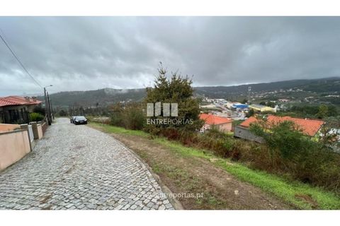Terra a Ancede e Ribadouro, Porto, Ancede e Ribadouro - € 25.000 | Ref: MC04518 - foto 12