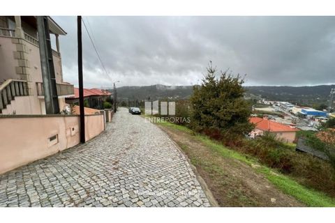 Terra a Ancede e Ribadouro, Porto, Ancede e Ribadouro - € 25.000 | Ref: MC04518 - foto 13