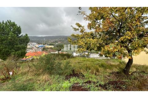 Terra a Ancede e Ribadouro, Porto, Ancede e Ribadouro - € 25.000 | Ref: MC04518 - foto 14