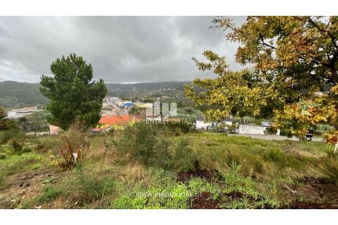 Terra a Ancede e Ribadouro, Porto, Ancede e Ribadouro - € 25.000 | Ref: MC04518 - foto 15