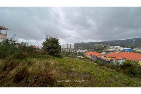 Terra a Ancede e Ribadouro, Porto, Ancede e Ribadouro - € 25.000 | Ref: MC04518 - foto 18