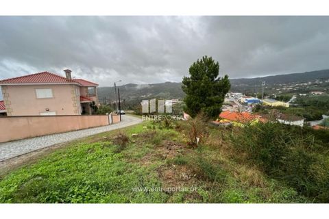 Terra a Ancede e Ribadouro, Porto, Ancede e Ribadouro - € 25.000 | Ref: MC04518 - foto 19