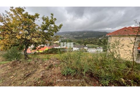 Terra a Ancede e Ribadouro, Porto, Ancede e Ribadouro - € 25.000 | Ref: MC04518 - foto 21