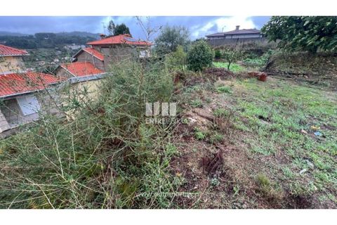Terra a Ancede e Ribadouro, Porto, Ancede e Ribadouro - € 25.000 | Ref: MC04518 - foto 22