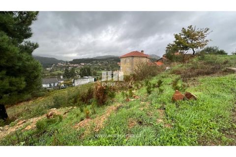 Terra a Ancede e Ribadouro, Porto, Ancede e Ribadouro - € 25.000 | Ref: MC04518 - foto 24