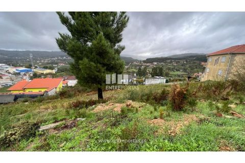 Terra a Ancede e Ribadouro, Porto, Ancede e Ribadouro - € 25.000 | Ref: MC04518 - foto 25