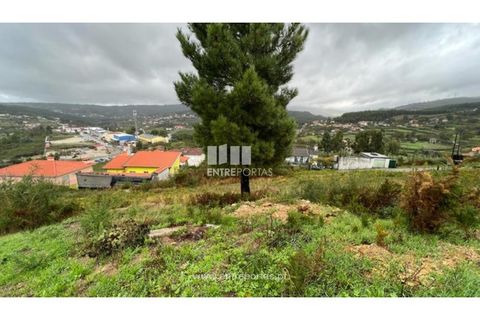 Terra a Ancede e Ribadouro, Porto, Ancede e Ribadouro - € 25.000 | Ref: MC04518 - foto 26